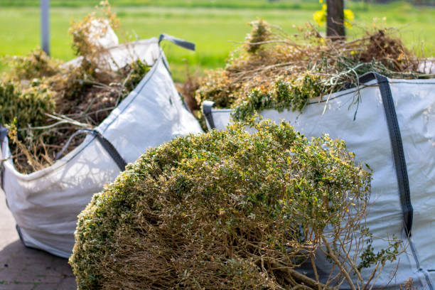 Best Local Junk Hauling  in Okawvle, IL